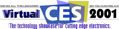 2001 International CES Report